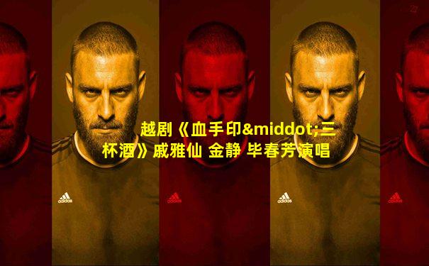 越剧《血手印·三杯酒》戚雅仙 金静 毕春芳演唱
